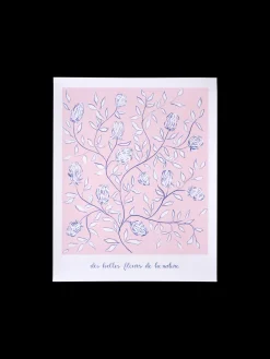 Poster 40 X 50