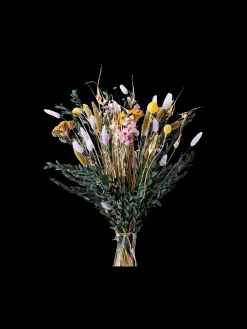 Trockenblumen Valentina Medium